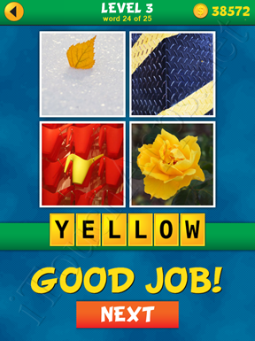 4 Pics 1 Word Puzzle - What's That Word Level 3 Word 24 Solution