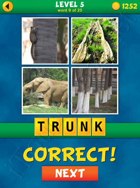 4 Pics 1 Word Puzzle - What's That Word Level 5 Word 9 Solution