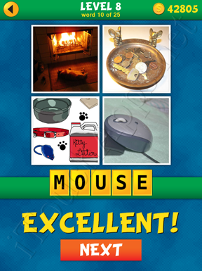4 Pics 1 Word Puzzle - What's That Word Level 8 Word 10 Solution