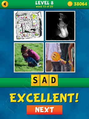 4 Pics 1 Word Puzzle - What's That Word Level 8 Word 13 Solution