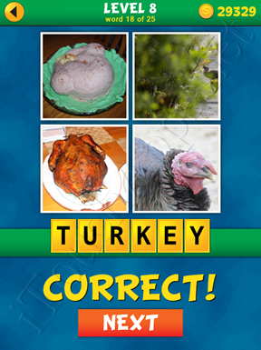 4 Pics 1 Word Puzzle - What's That Word Level 8 Word 18 Solution