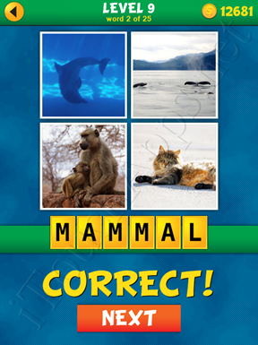 4 Pics 1 Word Puzzle - What's That Word Level 9 Word 2 Solution