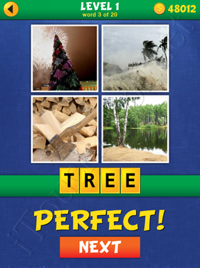 4 Pics Mystery Level 1 Word 3 Solution