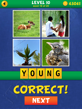 4 Pics Mystery Level 10 Word 19 Solution