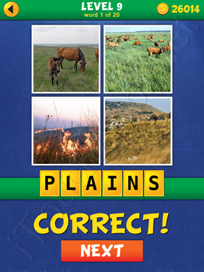 4 Pics Mystery Level 9 Word 1 Solution