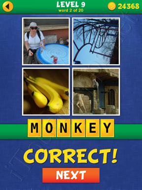 4 Pics Mystery Level 9 Word 2 Solution