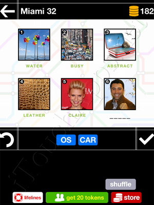 Pics & Pieces Miami Pack Level 32 Answer