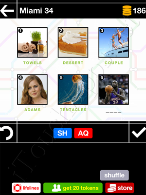 Pics & Pieces Miami Pack Level 34 Answer