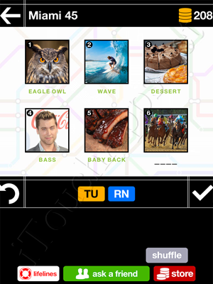 Pics & Pieces Miami Pack Level 45 Answer