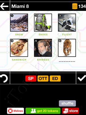 Pics & Pieces Miami Pack Level 8 Answer
