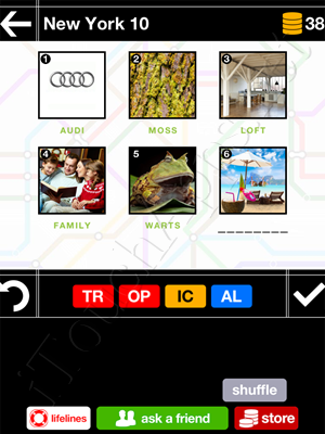 Pics & Pieces New York Pack Level 10 Answer