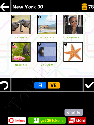 Pics & Pieces New York Pack Level 30 Answer
