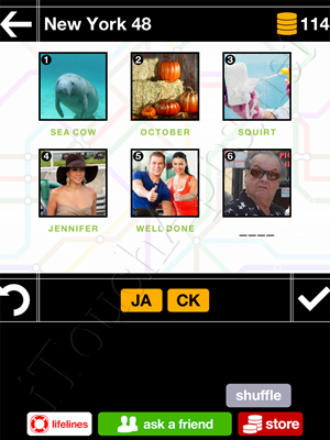 Pics & Pieces New York Pack Level 48 Answer