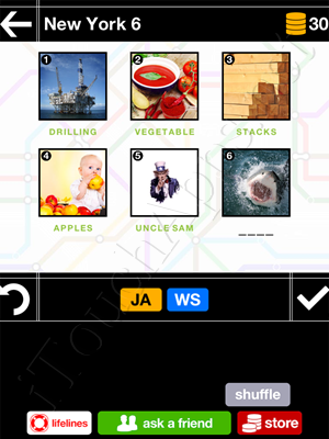 Pics & Pieces New York Pack Level 6 Answer