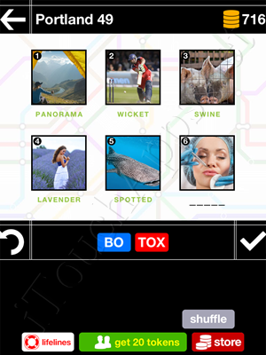 Pics & Pieces Portland Pack Level 49 Answer
