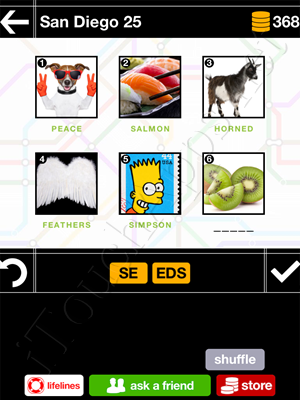 Pics & Pieces San Diego Pack Level 25 Answer