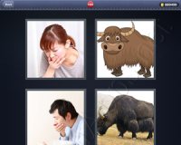 4 Pics 1 Word Answers: Level 1446