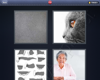 4 Pics 1 Word Answers: Level 1724