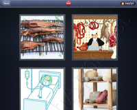 4 Pics 1 Word Answers: Level 1873