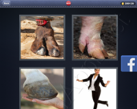 4 Pics 1 Word Answers: Level 2876