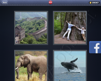 4 Pics 1 Word Answers: Level 2878