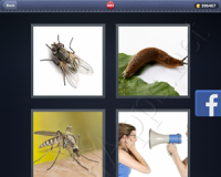 4 Pics 1 Word Answers: Level 2883