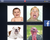 4 Pics 1 Word Answers: Level 2909