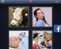 4 Pics 1 Word Answers: Level 2910