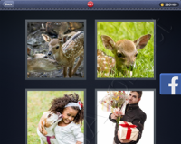 4 Pics 1 Word Answers: Level 2921