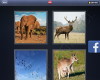 4 Pics 1 Word Answers: Level 2932