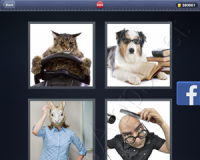 4 Pics 1 Word Answers: Level 2934