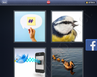 4 Pics 1 Word Answers: Level 2942