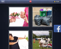 4 Pics 1 Word Answers: Level 2949