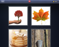4 Pics 1 Word Answers: Level 1034