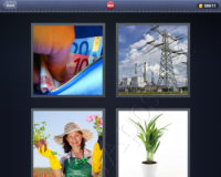 4 Pics 1 Word Answers: Level 964