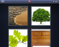 4 Pics 1 Word Answers: Level 981
