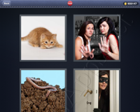 4 Pics 1 Word Answers: Level 1233