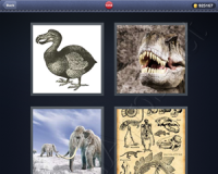 4 Pics 1 Word Answers: Level 1318