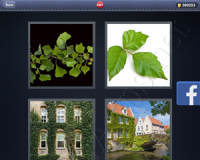 4 Pics 1 Word Answers: Level 2907