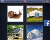 4 Pics 1 Word Answers: Level 2918