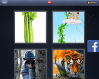 4 Pics 1 Word Answers: Level 2947