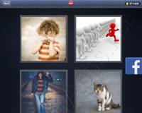 4 Pics 1 Word Answers: Level 2961