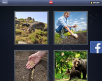 4 Pics 1 Word Answers: Level 2981