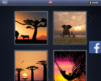 4 Pics 1 Word Answers: Level 2985