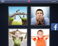 4 Pics 1 Word Answers: Level 2993