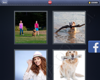 4 Pics 1 Word Answers: Level 3001