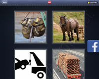 4 Pics 1 Word Answers: Level 3005
