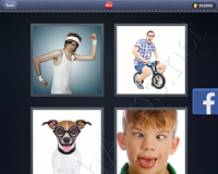 4 Pics 1 Word Answers: Level 3015