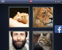 4 Pics 1 Word Answers: Level 3040