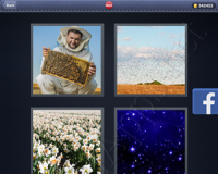 4 Pics 1 Word Answers: Level 3042